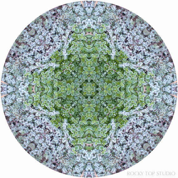 Mandala Art, Abstract Nature Print, Geometric Art Print, Peaceful Round Art, Fine Art Print in Icy Blue &amp; Green,