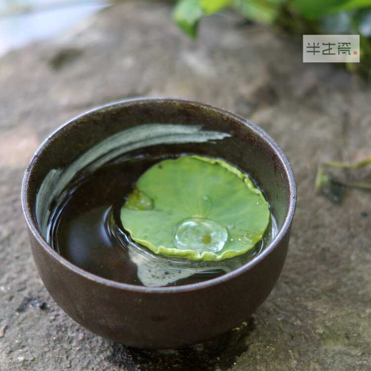 日本进口花器/水培植物花盆/多肉盆/绿植花盆/多肉植物花盆莲子碗