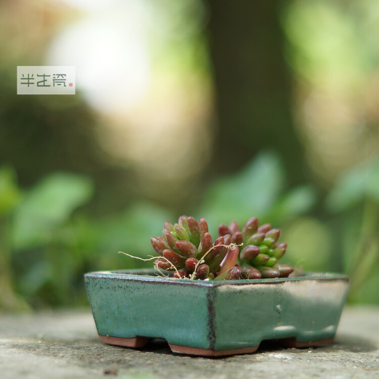 花器套盆小花盆/盆栽花盆/多肉盆/绿植花盆/多肉植物花盆/陶花盆