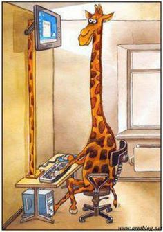 &lt;3 giraffe workstations. ;)