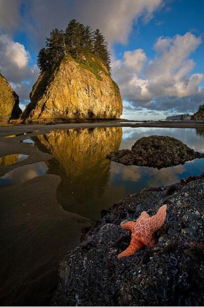 海星经典日光浴“写真”照