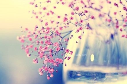 为什么不试着主动呢？主动不会让自己这么烦恼，主动关怀对方容易解决矛盾和问题，情感问题解决了，自然心情开朗，情绪稳定，才能更好的发展事业，给自己一个长远和短期目标，并为之努力，人生就不会迷失自己。—— 《廊桥遗梦》