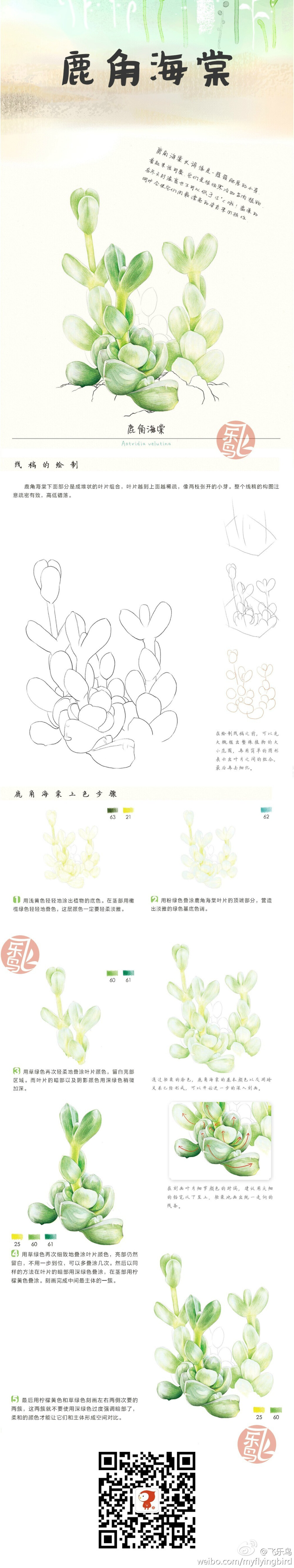 飞乐鸟教程