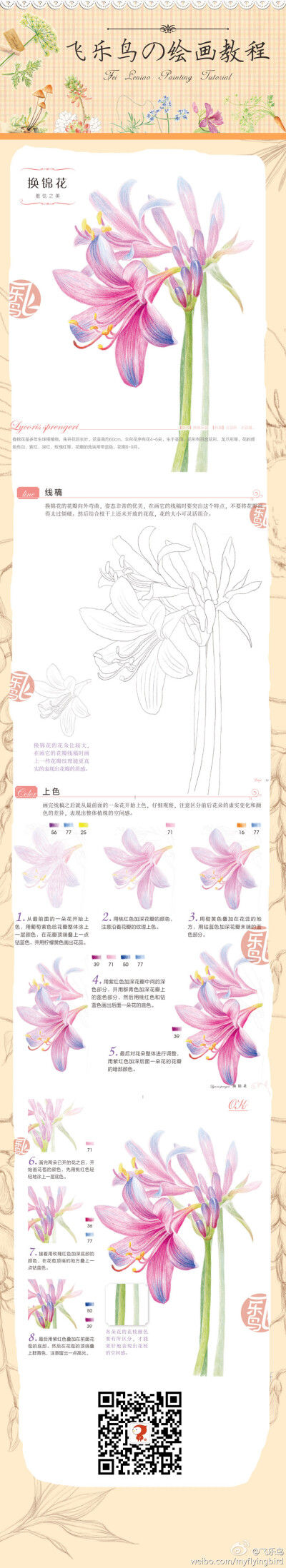 飞乐鸟教程——换锦花