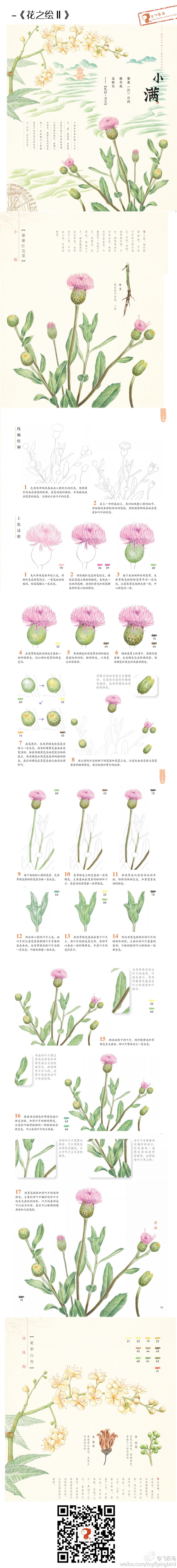 飞乐鸟教程