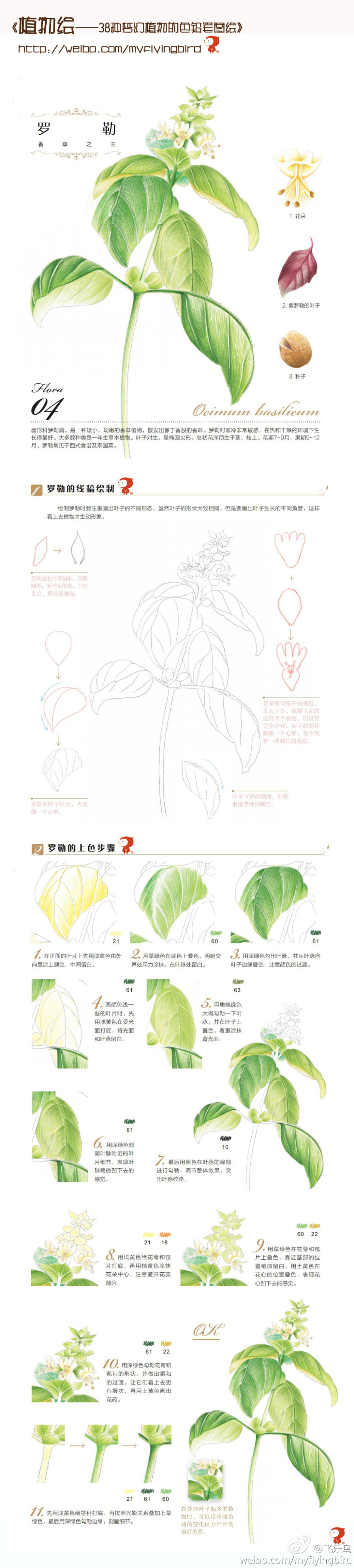 飞乐鸟教程——罗勒