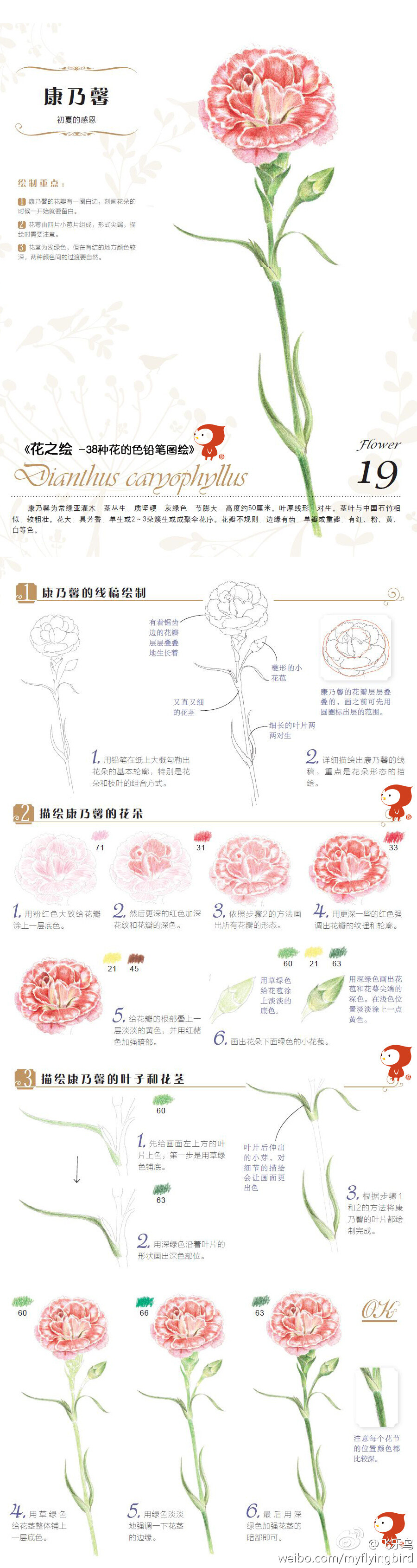 飞乐鸟教程——康乃馨