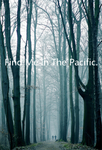 Find Me In The Pacific、Find Me In The Pacific、文字、夏天、Summer、安静