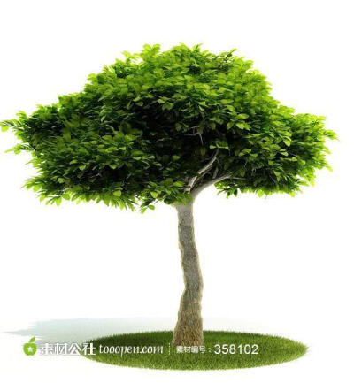 树木模型小榕树3d效果图模型下载