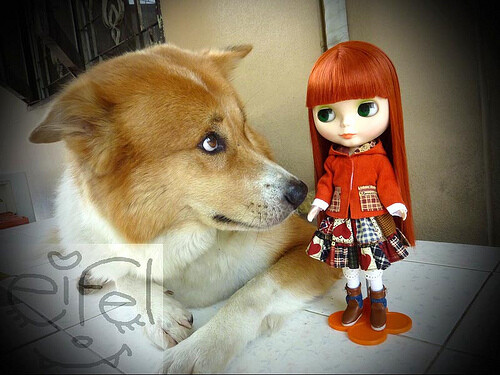 blythe mod molly and my dog