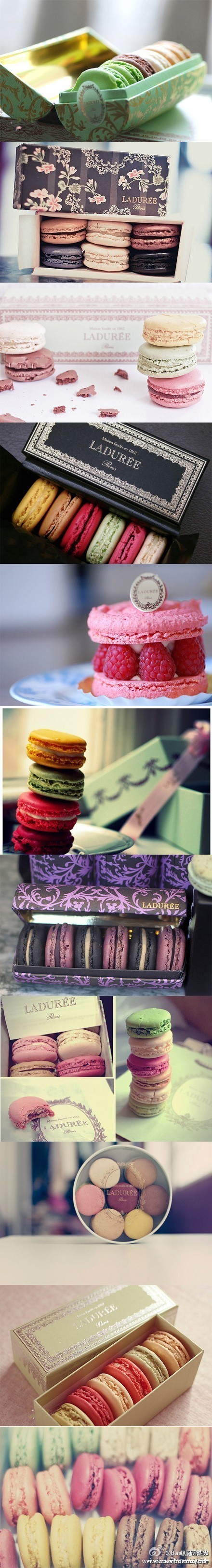 巴黎最有名的甜点店里的玛卡隆，好想吃啊吃啊啊啊啊～