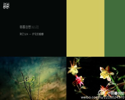 癸巳324 — 護(hù)花的螳螂 — #朝暮創(chuàng)想365色#