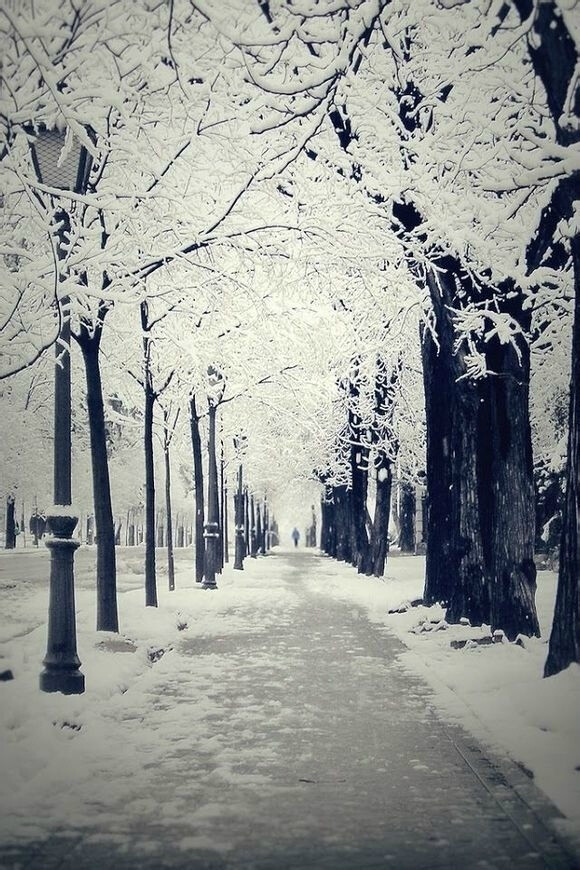 期待一场大雪，埋藏这个秋天我所有的记忆。