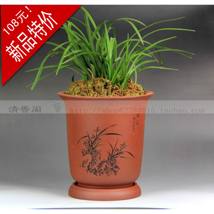 新品 特价 圆口 红拼 上善若水 紫砂盆 兰花盆 花盆