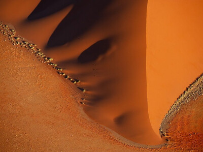 纳米布沙漠的沙丘 Photograph by Frans Lanting, National Geographic