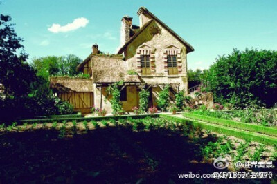 我期待一次这样的旅行：住在一间安静优美的小屋，在鸟鸣中起床，推窗有花香铺面而来。早餐过后，在阳光温暖的抚摸里，我们骑车踏青或光脚奔跑。累了，我们就躺在绿草的清凉中，看天空湛蓝如洗。入夜，我们一起数繁星…