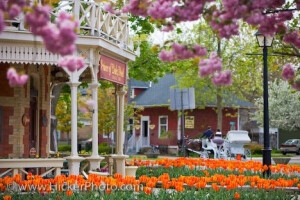 Historic Prince Of Wales Hotel Niagara On The Lake: Spring has arrived in the town of Niagara-on-the-Lake in Ontario, Canada and flowers by geraldine