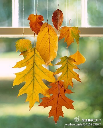 秋天了，我也要捡了落叶做挂饰~~~~@创意手工DIY