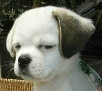 你的同桌是否曾用这种眼神看过你？{图文 转录}