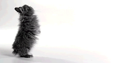 "卖萌专员"兔纸合集！！！想不想抱只回家？ 【转】