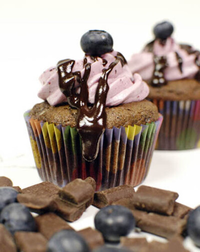 Chocolate Chunk Blueberry Cupcakes