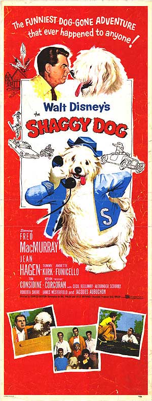 [ SHAGGY DOG POSTER ]