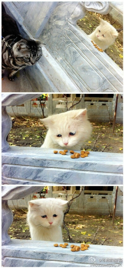 把我的悲伤留给自己！