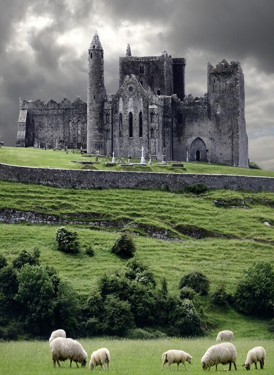 The Rock of Cashel, Ireland ...so glad I went