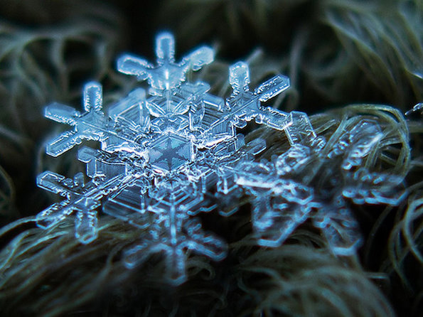 雪是动情的雨。 Alexey Klijatov雪花微距摄影