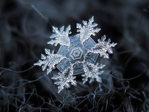 雪是动情的雨。 Alexey Klijatov雪花微距摄影