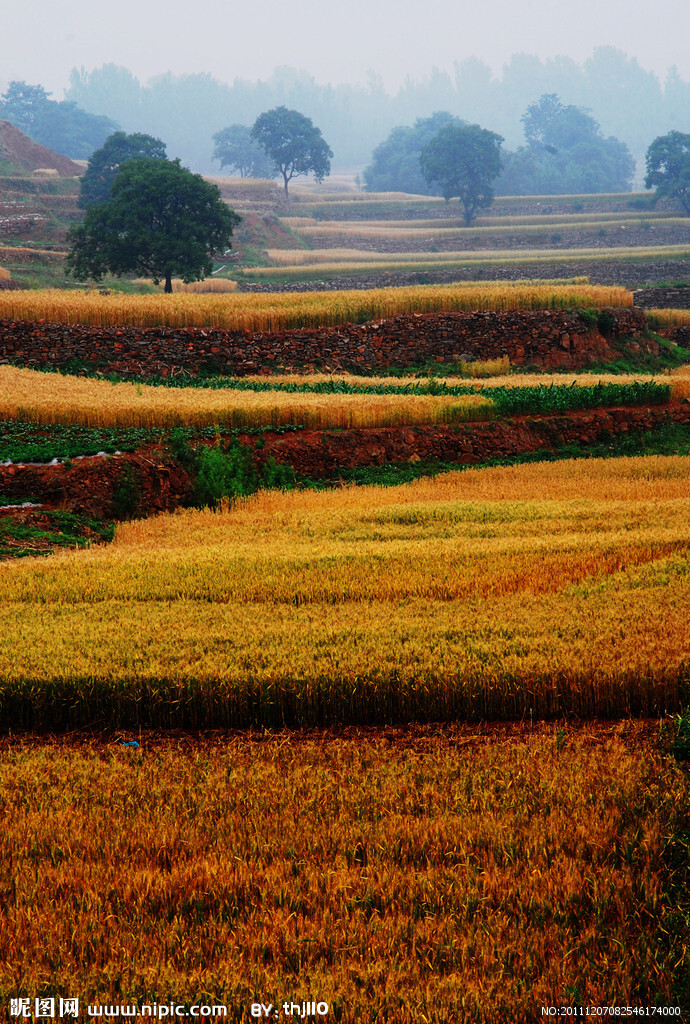 田园中古朴的风俗、稻穗的清芬总让人忘记平日里琐碎的烦恼。田园风光比任何一个旅游胜地让你更为悠闲安逸。