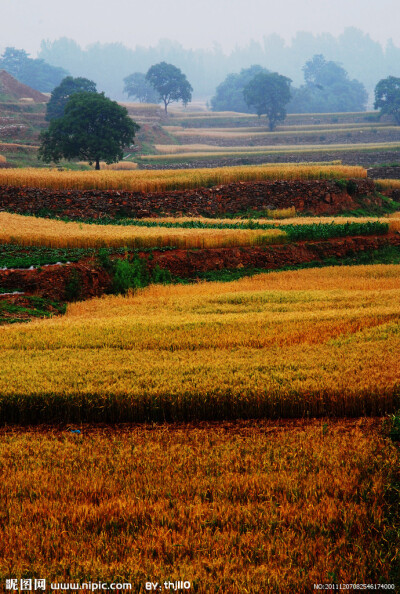 田园中古朴的风俗、稻穗的清芬总让人忘记平日里琐碎的烦恼。田园风光比任何一个旅游胜地让你更为悠闲安逸。