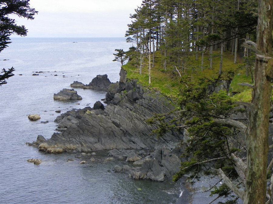 阿拉斯加州的科迪亞克島