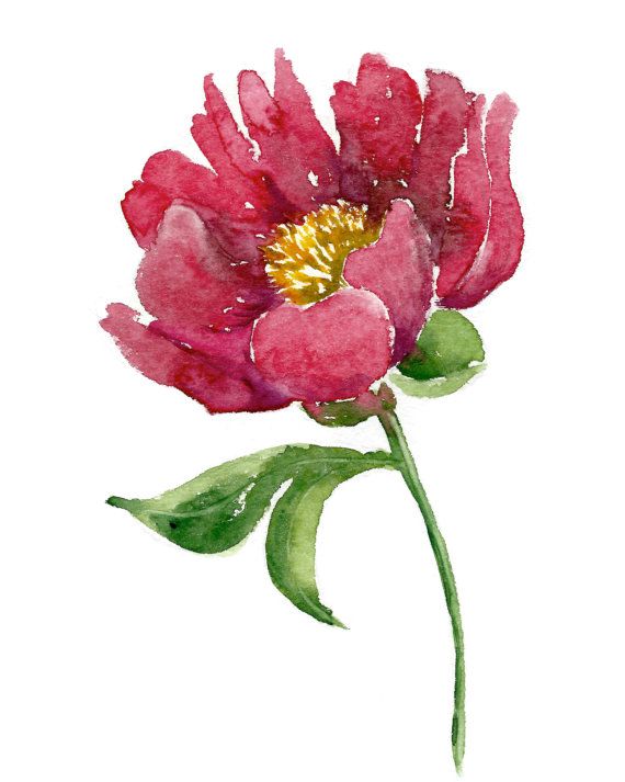 Original Watercolor painting Peony