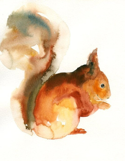Squirrel by DIMDI original watercolour (dimdi)