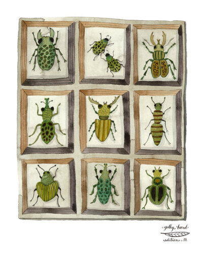 【Beetles and Weevils 甲虫和象鼻虫】Palette: {green, yellow, brown, grey}