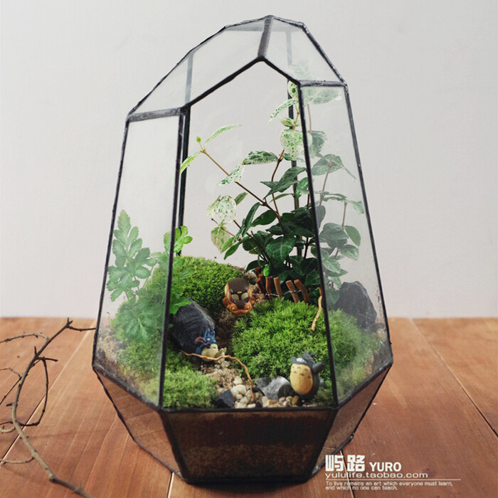  屿路生活 品 苔藓微景观 苔藓生态瓶 龙猫，手工绿植 创意绿植 盆景