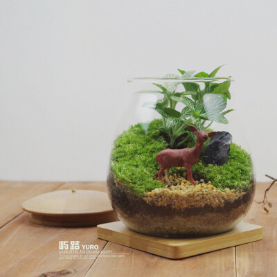  屿路生活 品 苔藓微景观 苔藓生态瓶 龙猫，手工绿植 创意绿植 盆景 小鹿 麋鹿