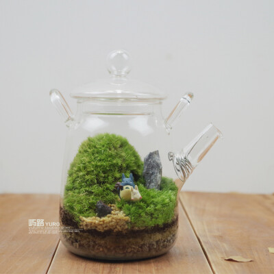  屿路生活 品 苔藓微景观 苔藓生态瓶 龙猫，手工绿植 创意绿植 盆景