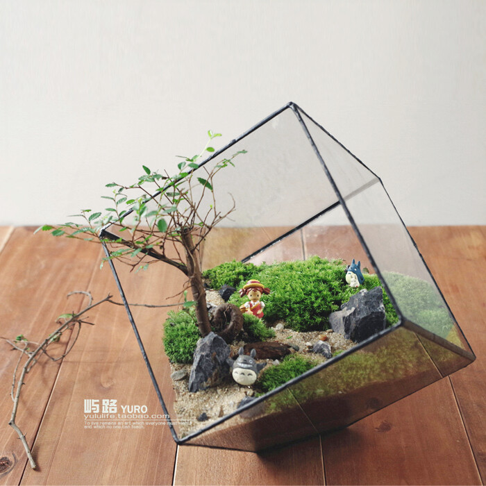  屿路生活 品 苔藓微景观 苔藓生态瓶 龙猫，手工绿植 创意绿植 盆景 玻璃花房 创意花房 创意盆栽