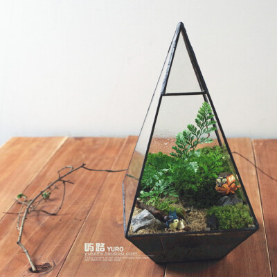  屿路生活 品 苔藓微景观 苔藓生态瓶 龙猫，手工绿植 创意绿植 盆景 玻璃花房 创意花房 创意盆栽