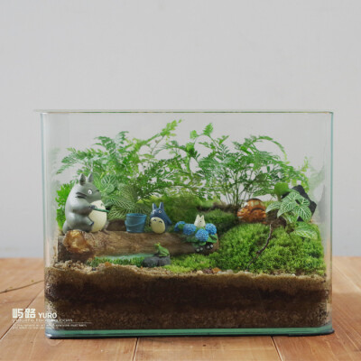  屿路生活 品 苔藓微景观 苔藓生态瓶 龙猫，手工绿植 创意绿植 盆景 玻璃花房 创意花房 创意盆栽