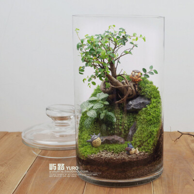  屿路生活 品 苔藓微景观 苔藓生态瓶 龙猫，手工绿植 创意绿植 盆景 玻璃花房 创意花房 创意盆栽