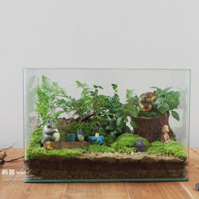  屿路生活 品 苔藓微景观 苔藓生态瓶 龙猫，手工绿植 创意绿植 盆景 玻璃花房 创意花房 创意盆栽 设计复古