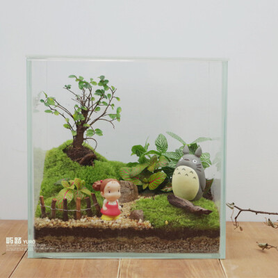  屿路生活 品 苔藓微景观 苔藓生态瓶 龙猫，手工绿植 创意绿植 盆景 玻璃花房 创意花房 创意盆栽 设计复古