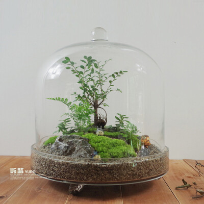  屿路生活 品 苔藓微景观 苔藓生态瓶 龙猫，手工绿植 创意绿植 盆景 玻璃花房 创意花房 创意盆栽 设计复古