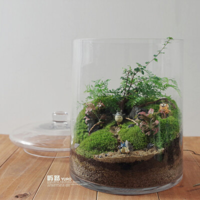  屿路生活 品 苔藓微景观 苔藓生态瓶 龙猫，手工绿植 创意绿植 盆景 玻璃花房 创意花房 创意盆栽 设计复古