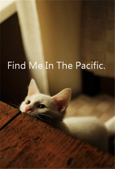 Find Me In The Pacific、Find Me In The Pacific、夏天、安静、文字