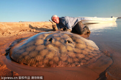 让人不寒而栗的河中巨怪： 英国男子杰里米-维德（Jeremy Wade）是著名的探索类节目《河中巨怪》的主持人。