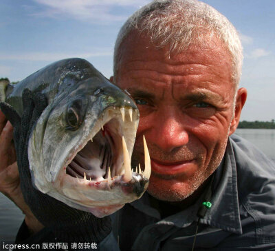 让人不寒而栗的河中巨怪： 英国男子杰里米-维德（Jeremy Wade）是著名的探索类节目《河中巨怪》的主持人。